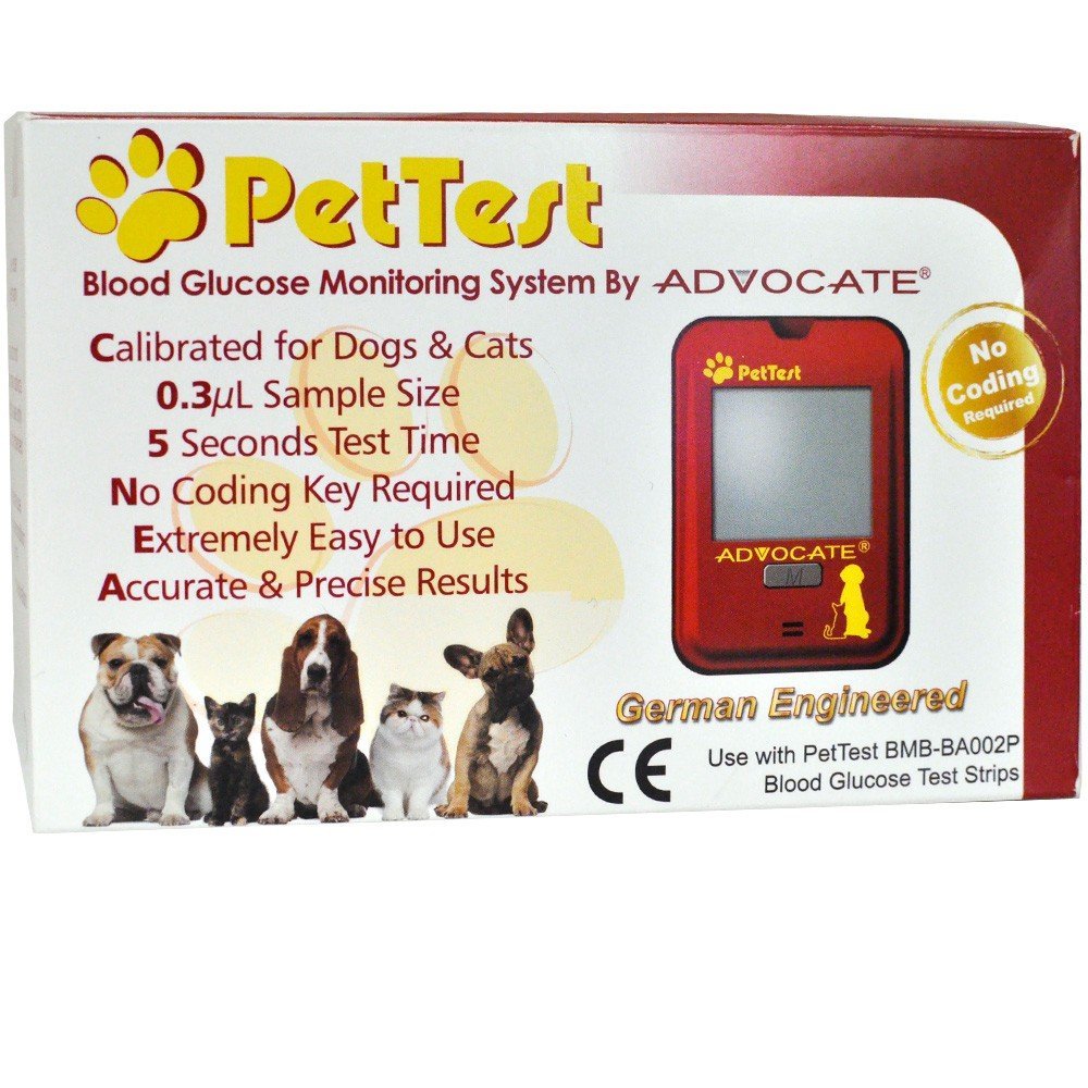 How To Care For A Dog With Diabetes Diabetes Support Site