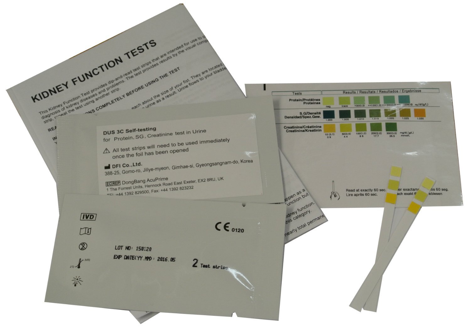 Link Between Diabetes And Kidney Disease Diabetes Support Site