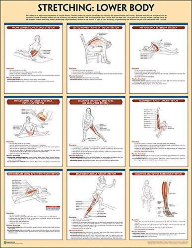 Stretching Exercises For Diabetics -Diabetes Support Site